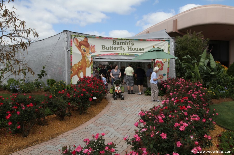 Epcot-Flower-Garden-2012-012