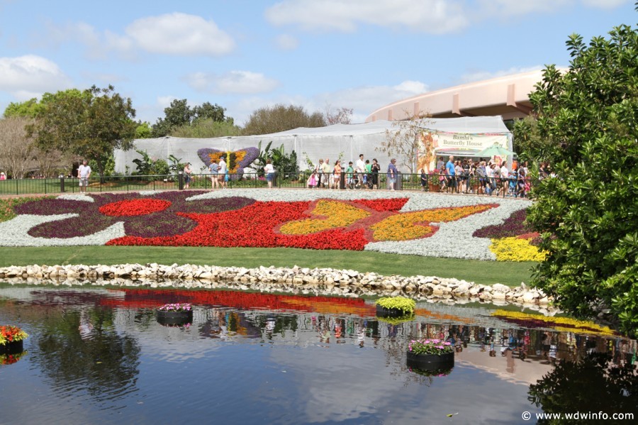 Epcot-Flower-Garden-2012-013