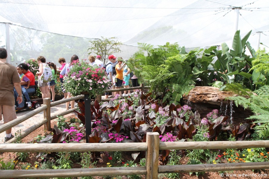 Epcot-Flower-Garden-2012-017