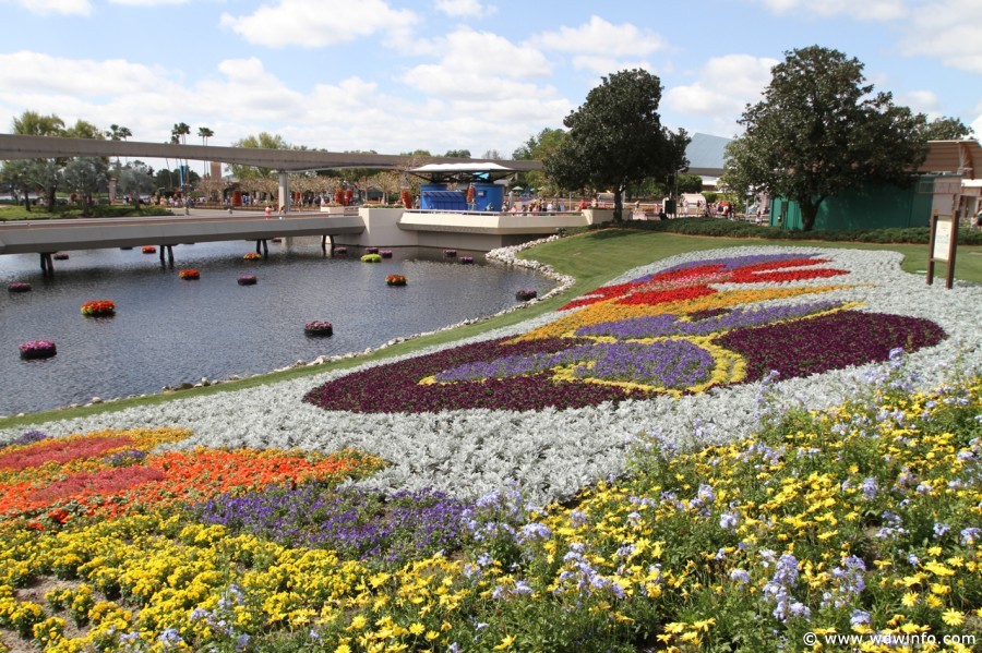 Epcot-Flower-Garden-2012-023