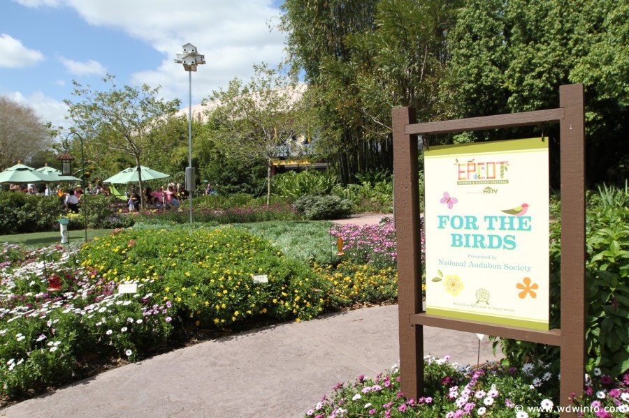 Epcot-Flower-Garden-2012-033