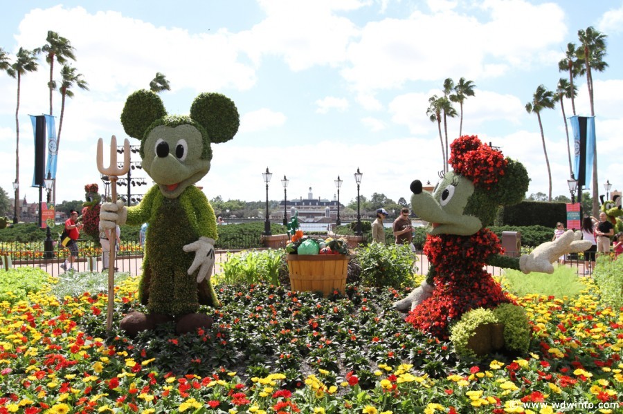 Epcot-Flower-Garden-2012-040