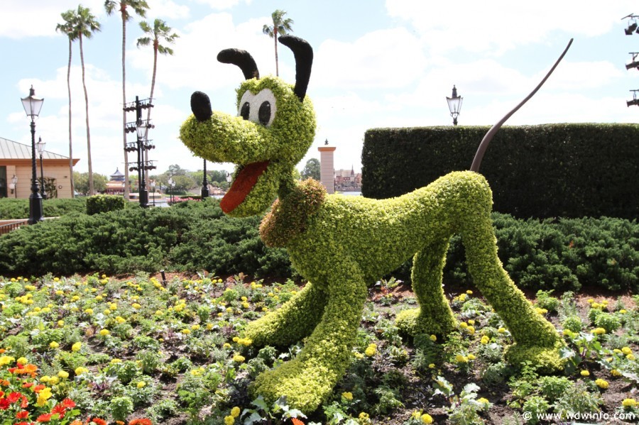 Epcot-Flower-Garden-2012-041