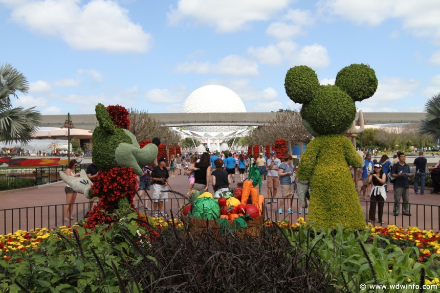 Epcot-Flower-Garden-2012-042