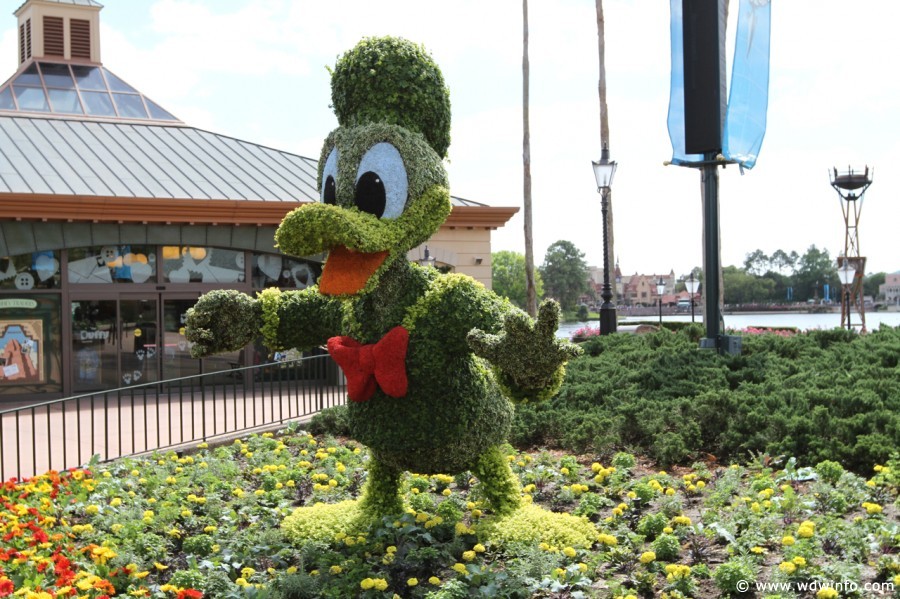 Epcot-Flower-Garden-2012-043