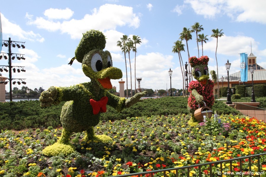 Epcot-Flower-Garden-2012-045