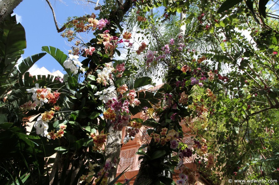 Epcot-Flower-Garden-2012-056