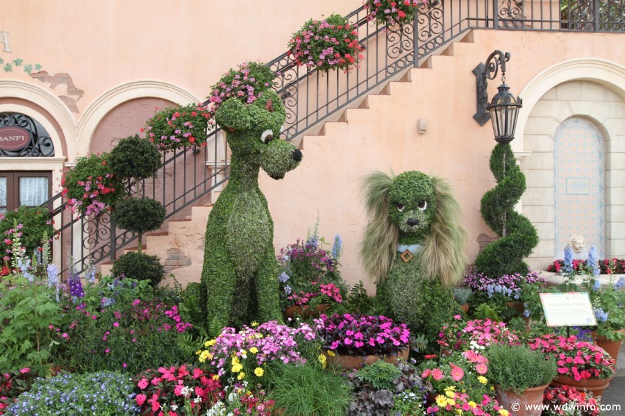 Epcot-Flower-Garden-2012-077