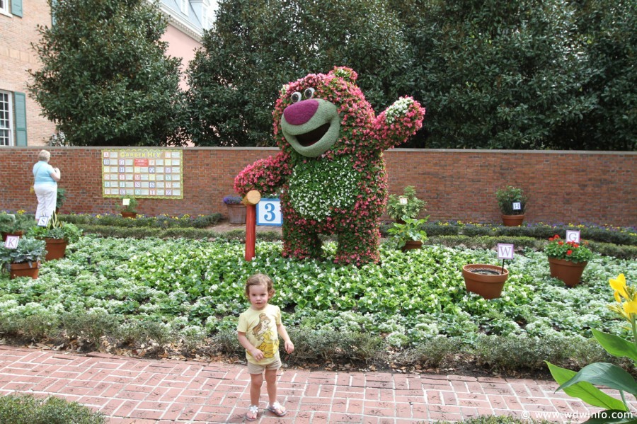 Epcot-Flower-Garden-2012-080