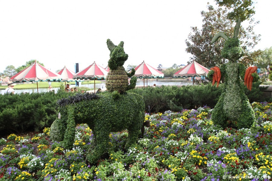 Epcot-Flower-Garden-2012-107