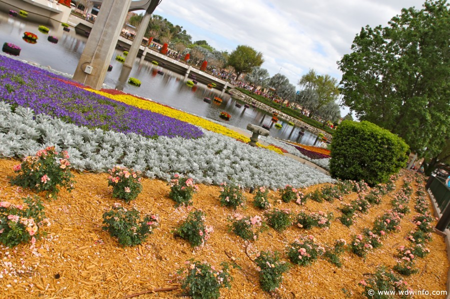 Epcot-Flower-Garden-2012-121