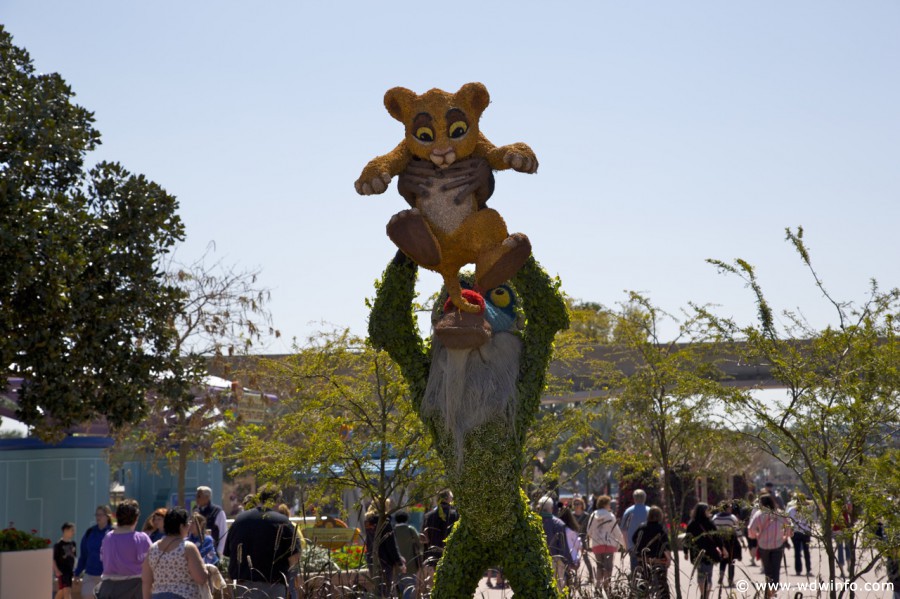 Epcot-Flower-Garden-2013-014