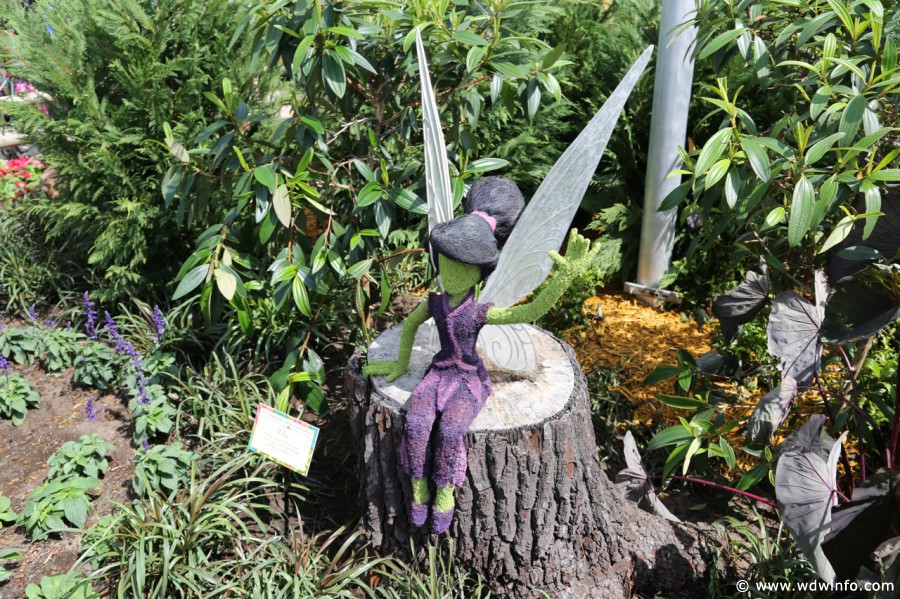 Epcot-Flower-Garden-2013-020