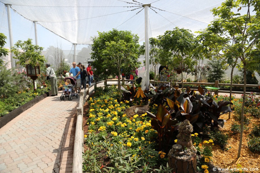 Epcot-Flower-Garden-2013-021