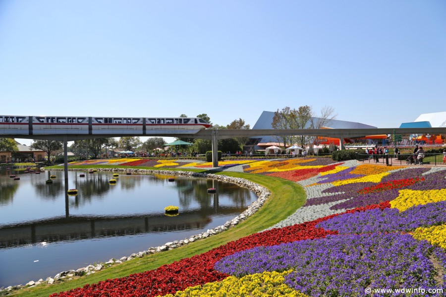 Epcot-Flower-Garden-2013-023