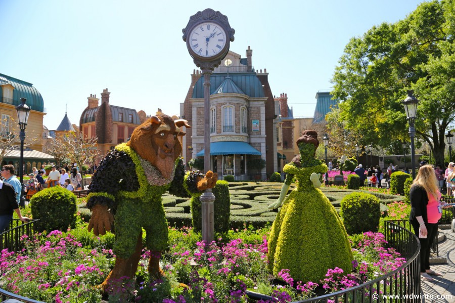 Epcot-Flower-Garden-2013-041