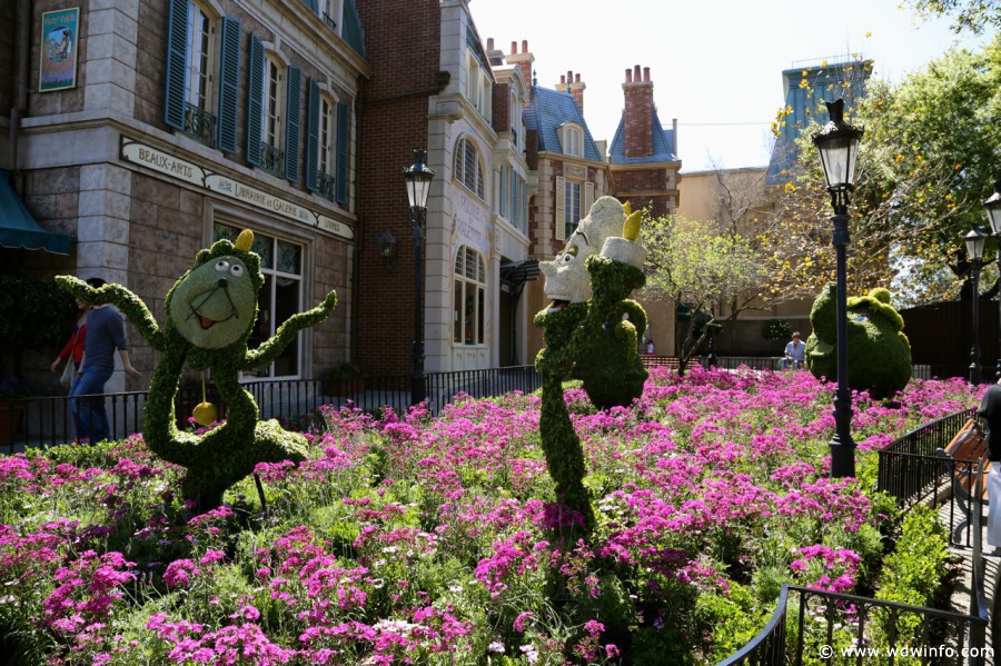 Epcot-Flower-Garden-2013-042