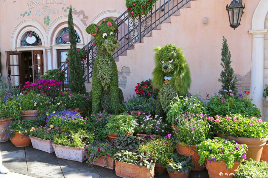 Epcot-Flower-Garden-2013-059
