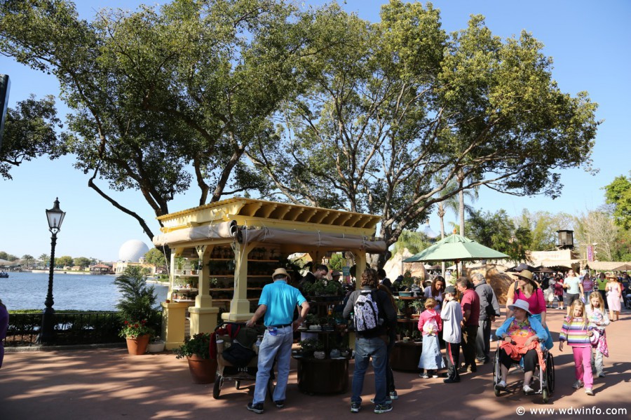 Epcot-Flower-Garden-2013-066