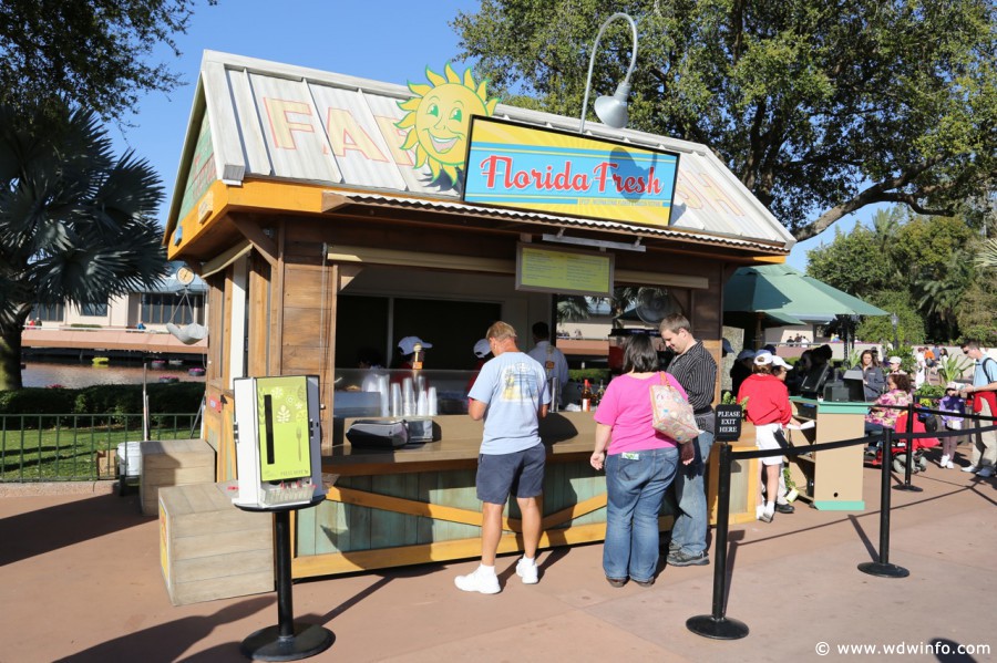 Epcot-Flower-Garden-2013-077