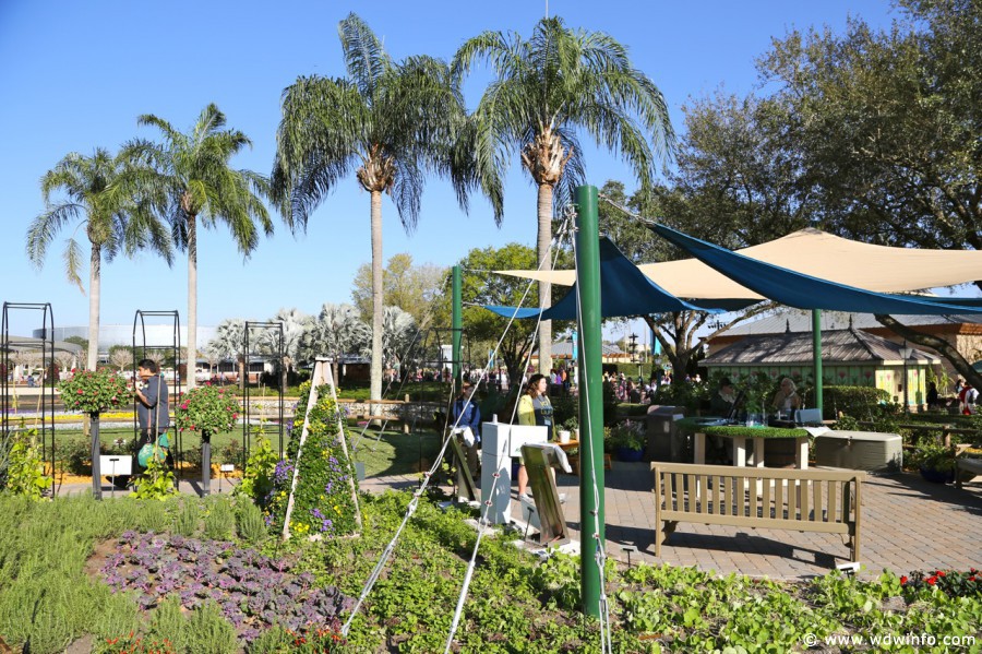 Epcot-Flower-Garden-2013-084