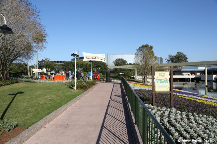 Epcot-Flower-Garden-2013-100