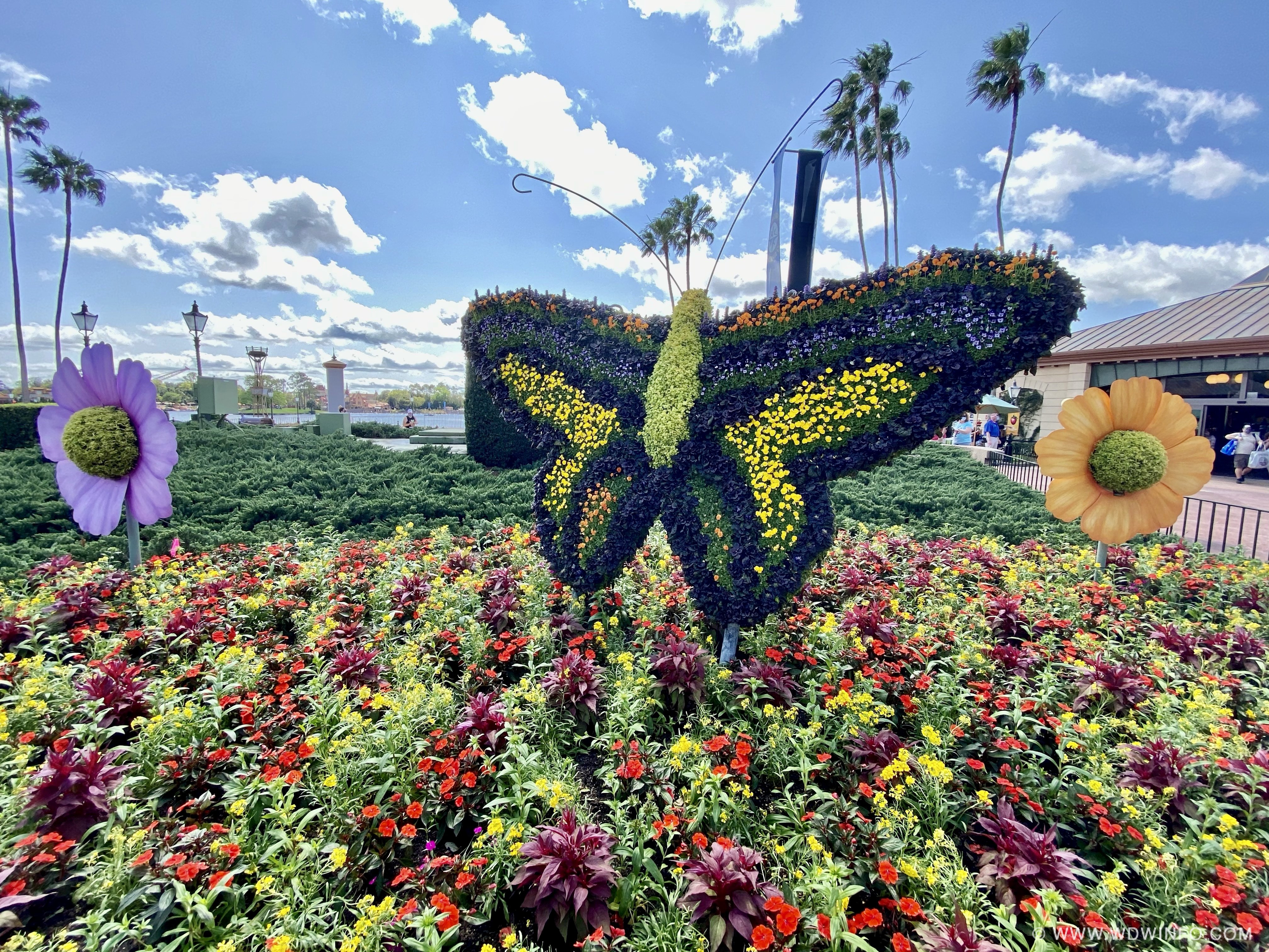 epcot-flower-garden-festival-013.jpeg