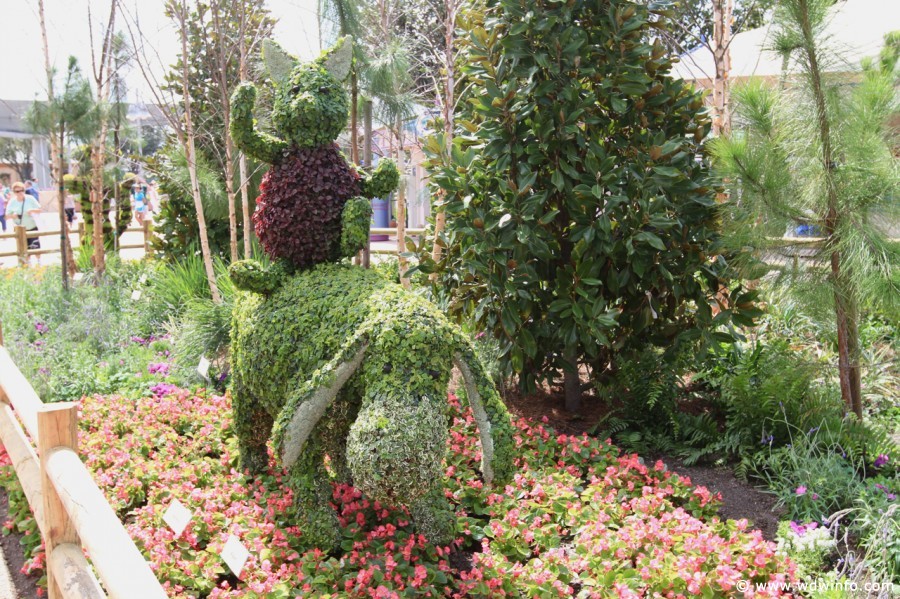 Epcot-Flower-Garden-Festival-020
