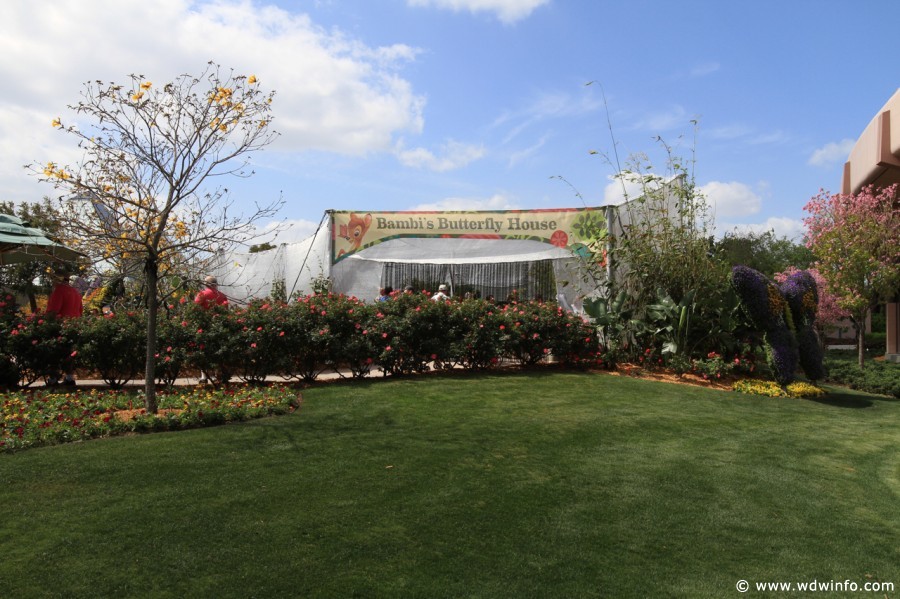 Epcot-Flower-Garden-Festival-025