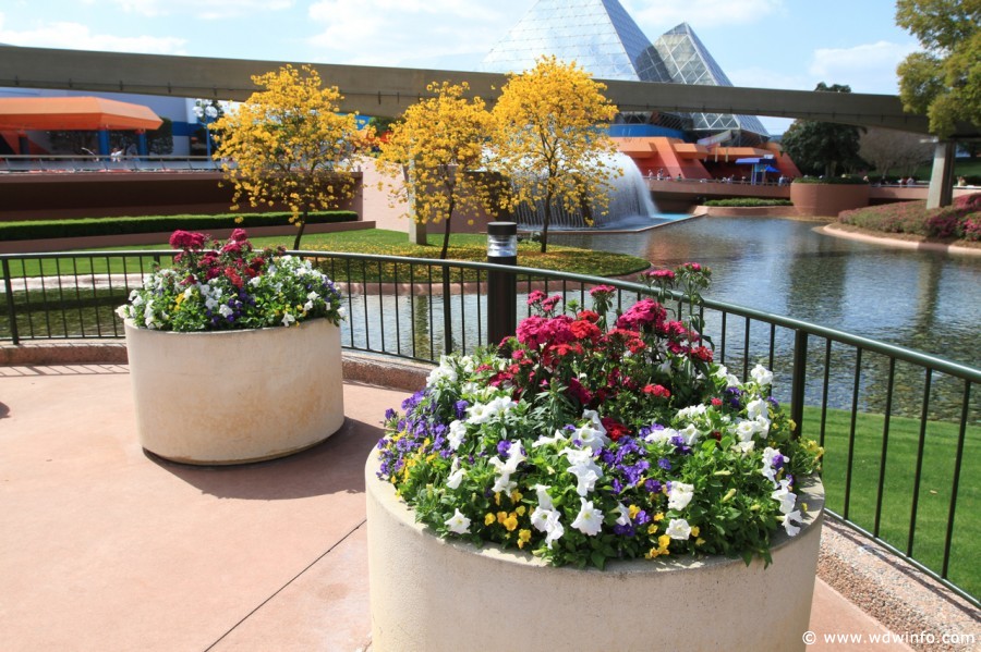 Epcot-Flower-Garden-Festival-039