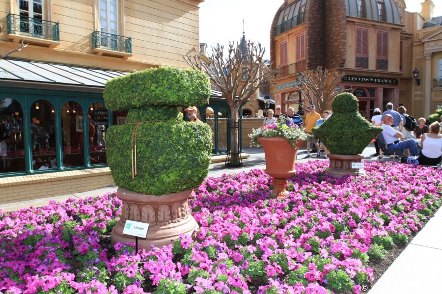 Epcot-Flower-Garden-Festival-108