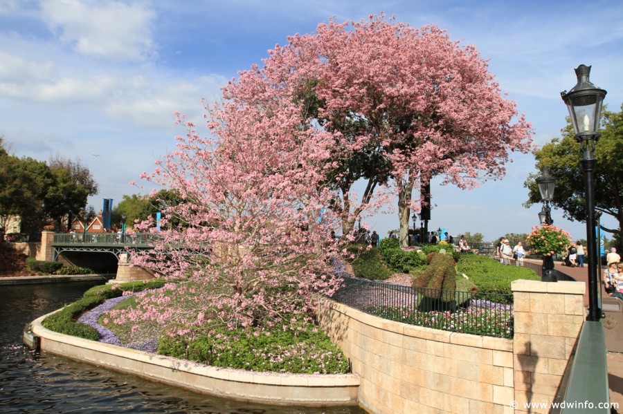 Epcot-Flower-Garden-Festival-114