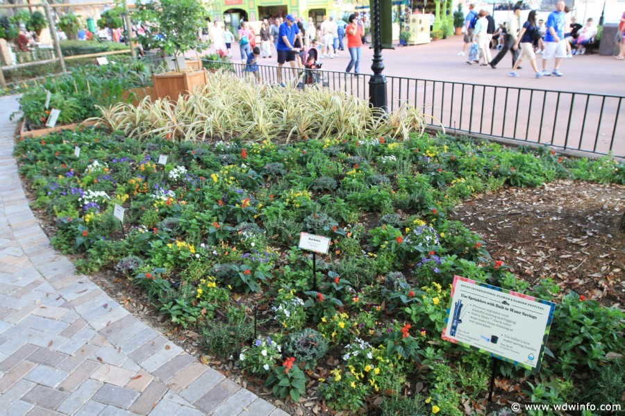 Epcot-Flower-Garden-Festival-127