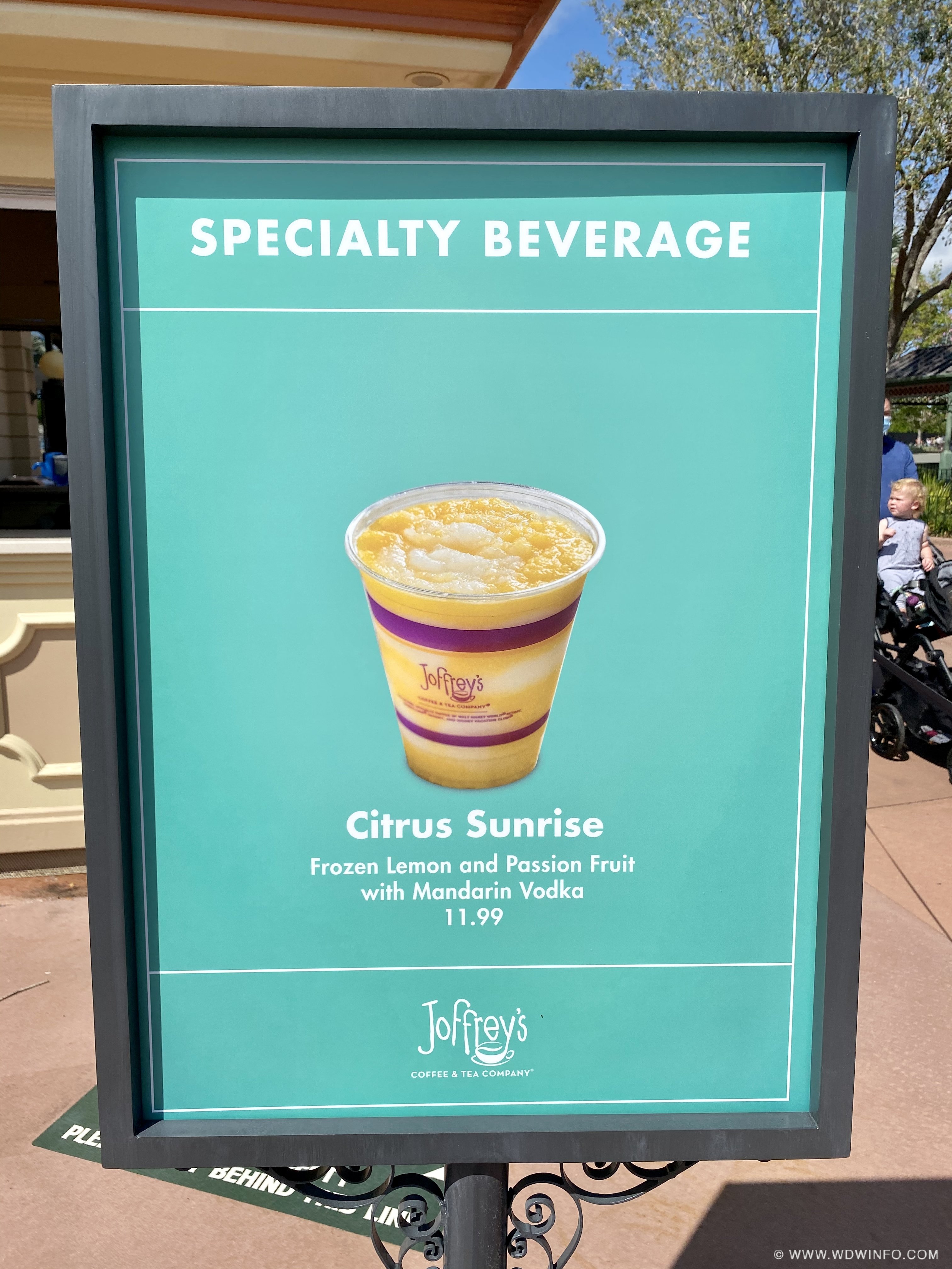 epcot-flower-garden-festival-menus-016.jpeg