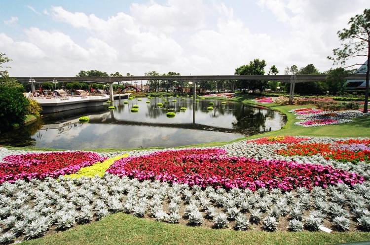 Epcot Flower & Garden Festival