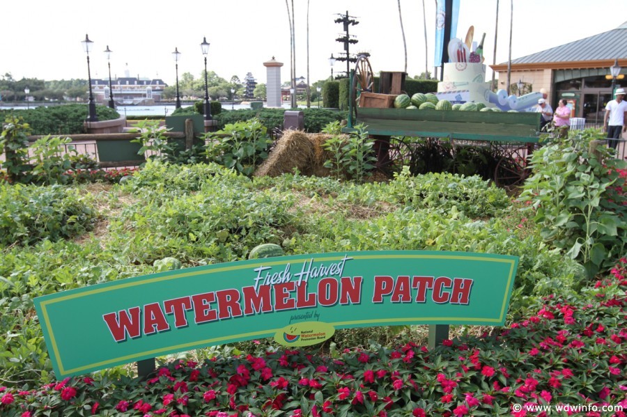 Epcot-Food-Wine-Festival-005