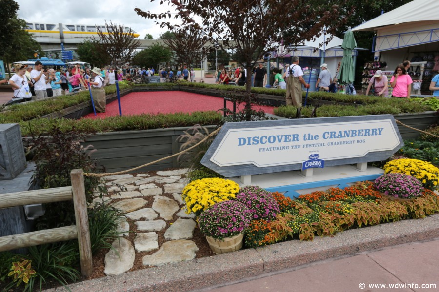 Epcot-Food-Wine-Festival-0122