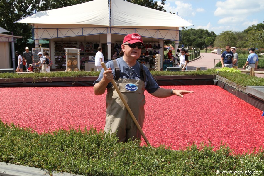 Epcot-Food-Wine-Festival-019