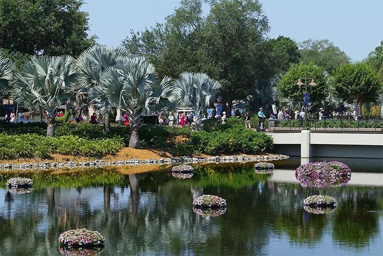 Epcot greenery