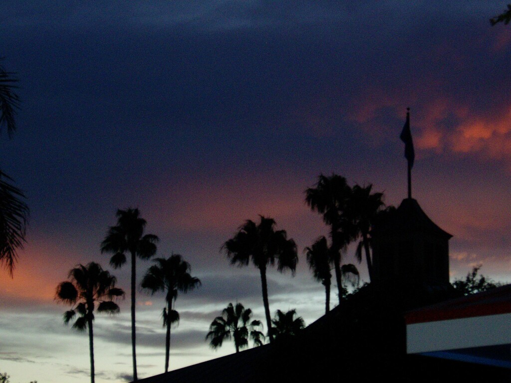 Epcot Sunset