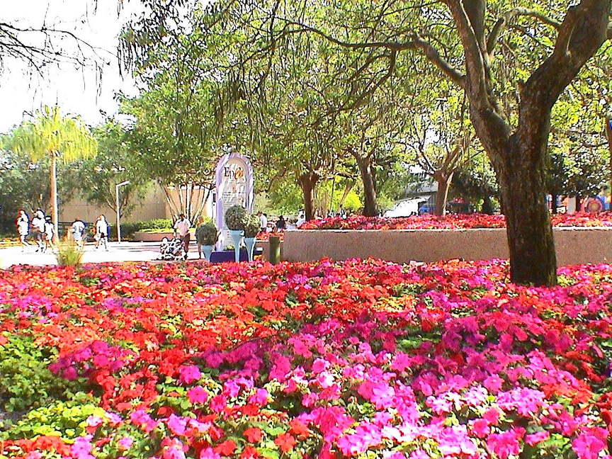 epcot