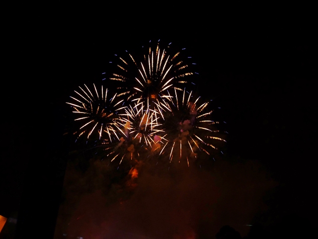 Epcot_Fireworks2_WP