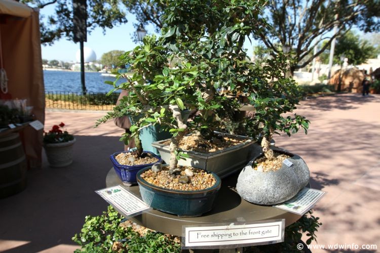 Epcot_Flower_Garden_Festival_092