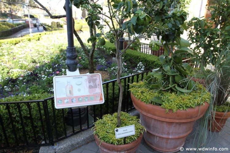 Epcot_Flower_Garden_Festival_131