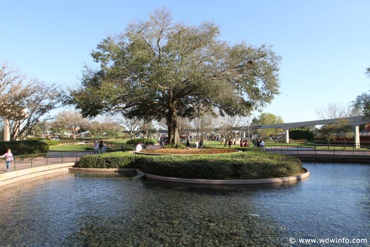 Epcot_Flower_Garden_Festival_153