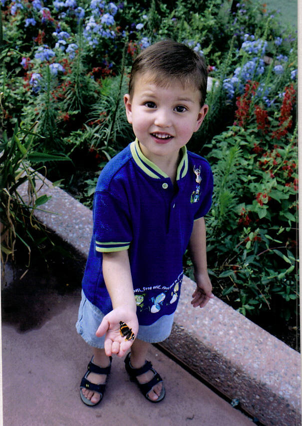 EpcotButterflies