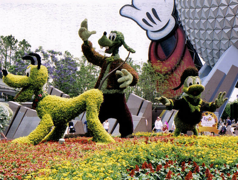 EpcotFlowers