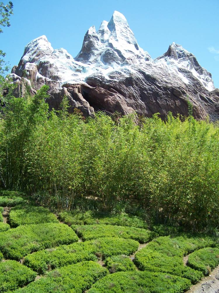 Everest with rice fields