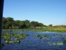 Everglades Airboat