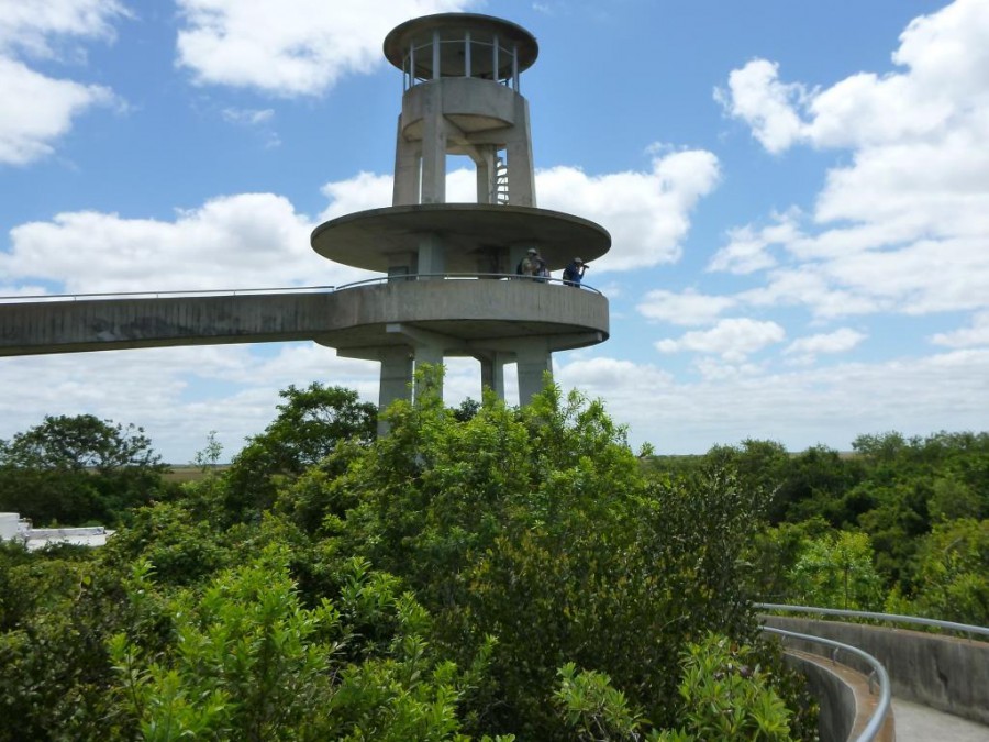 Everglades - Observation Tower